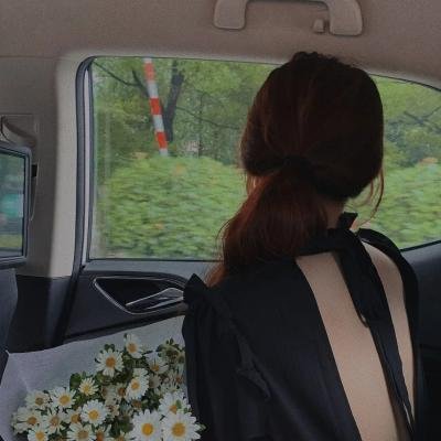 荷兰人的假期