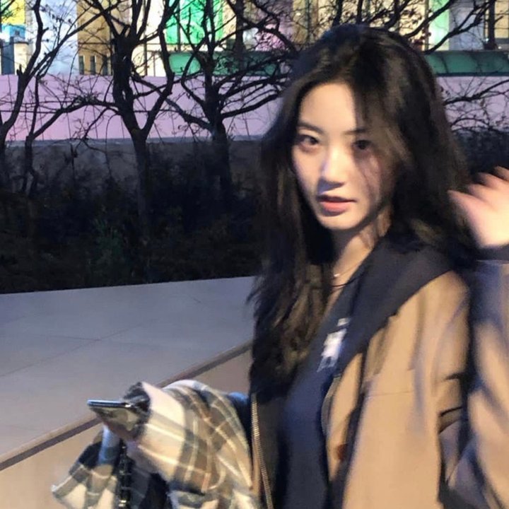 阿洛伊丝